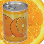 Dosenpflanze Orange 