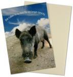 Grußkarte Wildschwein-Das Leben ist zu kurz... 
