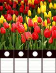 Design Labels Tulips 