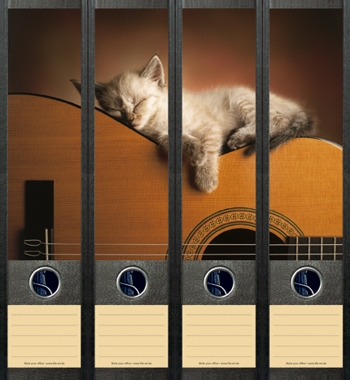Design Labels Cat and Guitar 