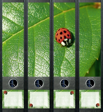 Design Labels Ladybird 